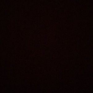 Meet your Posher, Alli